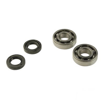 Kit roulements de vilebrequin + Joints Spy Derbi Senda