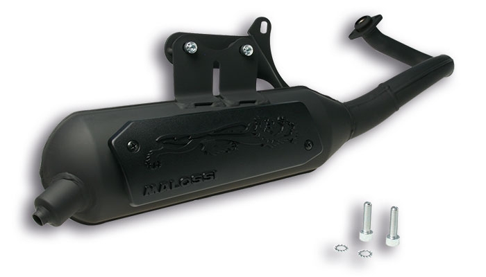 Pot d'échappement Malossi Wild Lion Liberty 50 2T
