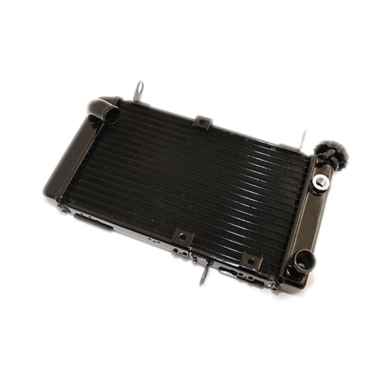 Radiateur d'eau Suzuki SV 650 98-02