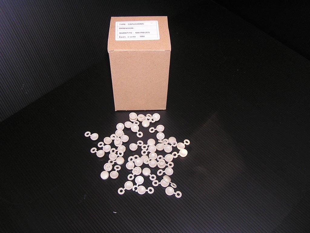 Caches rivets blancs x500