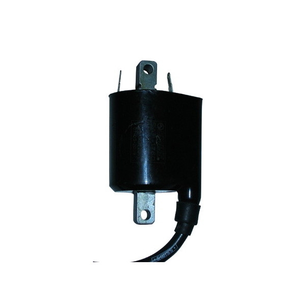 Bobine Haute Tension Ext.12V adaptable 2,5 ohm