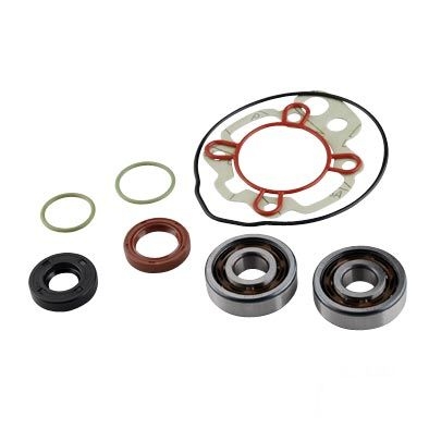 Kit roulements + joints spy Artein Minarelli AM6 00-