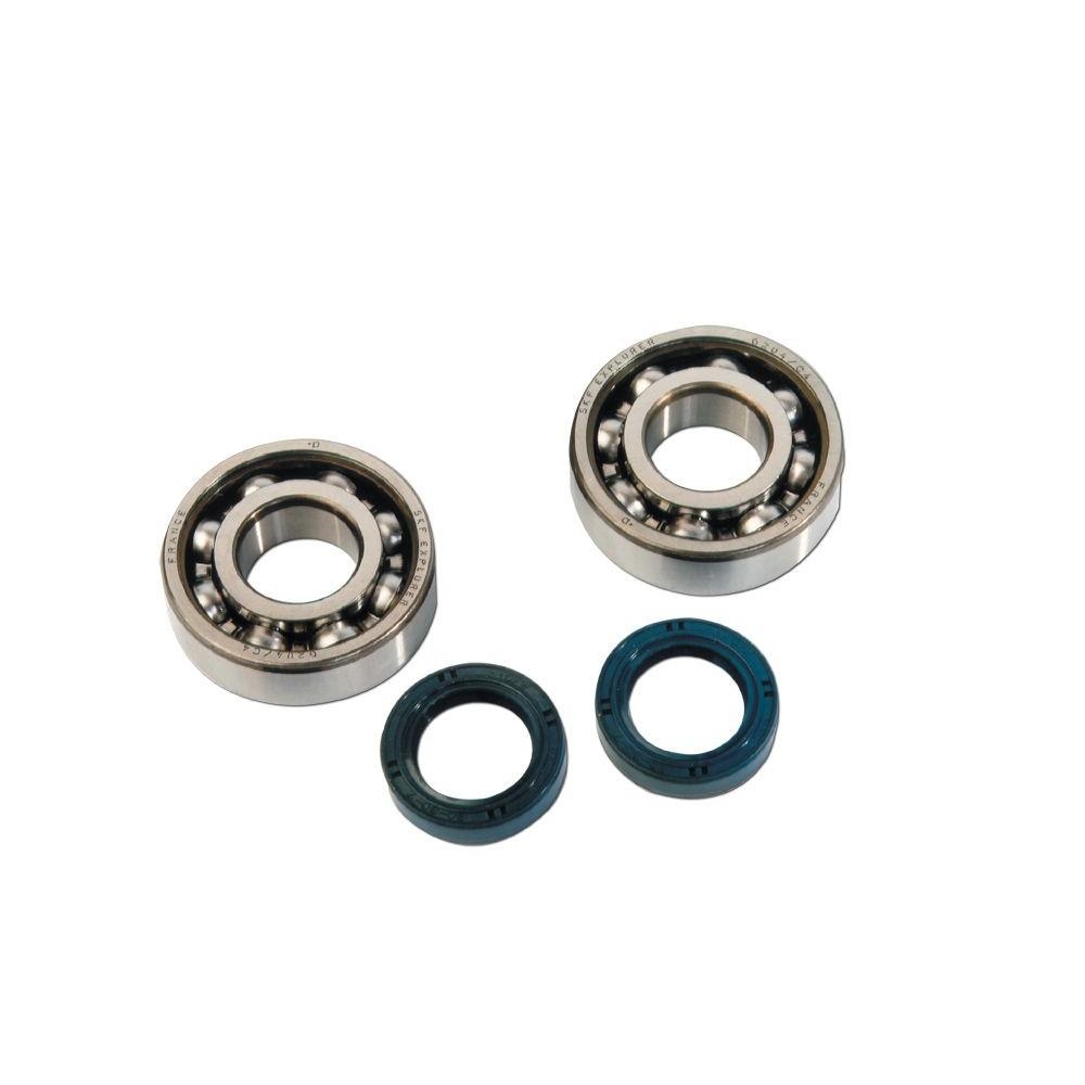 Kit roulements et spis SKF 6204 C4 Ludix