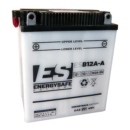 Batterie Energy Safe ESB12A-A 12 V / 12 AH Pack acide inclus