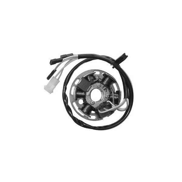Stator 6 pôles Derbi Senda 50 00H03311011