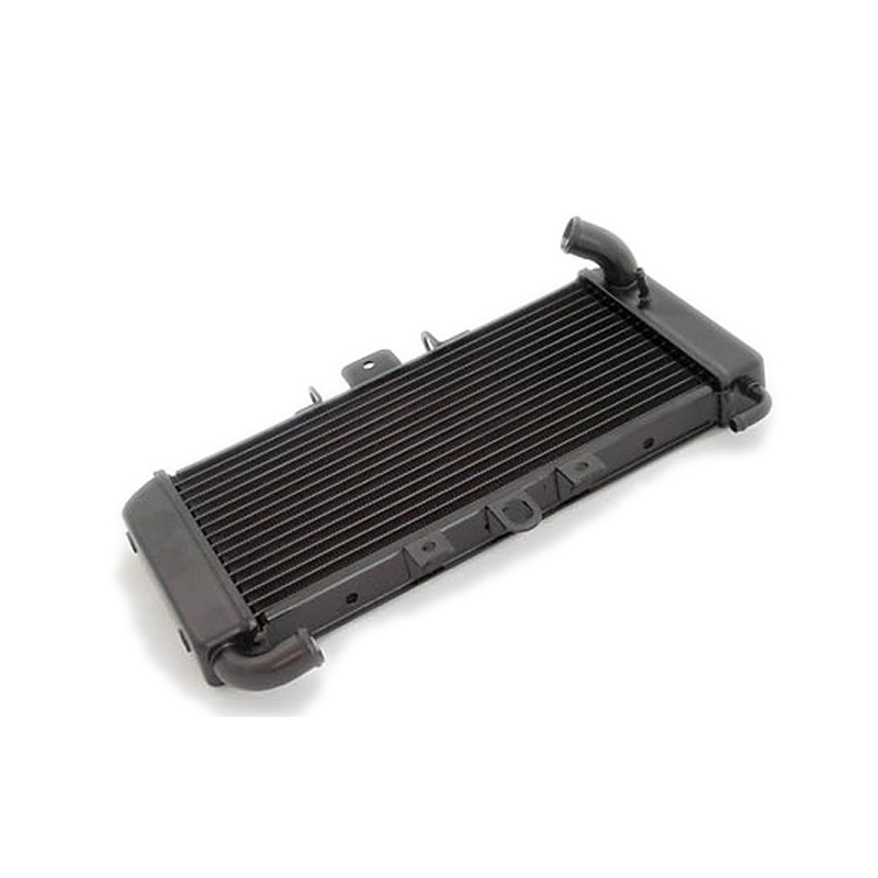 Radiateur d'eau Yamaha FZS 600 Fazer 98-03