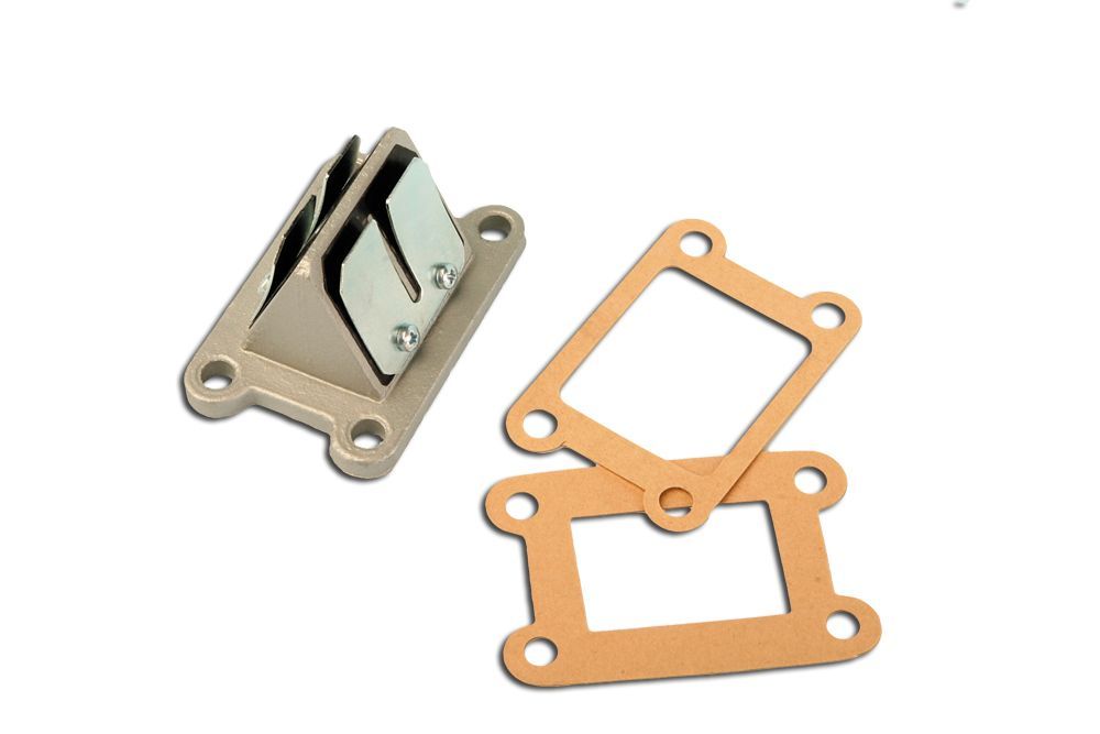 Clapet lamelles carbone AM6