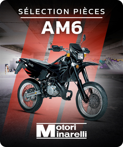 moto 50cc am6
