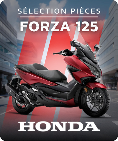 Forza 125 Maxi Scooter