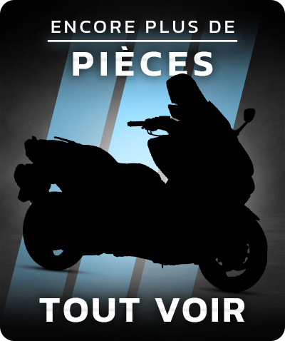Tout voir pièces maxi scooter