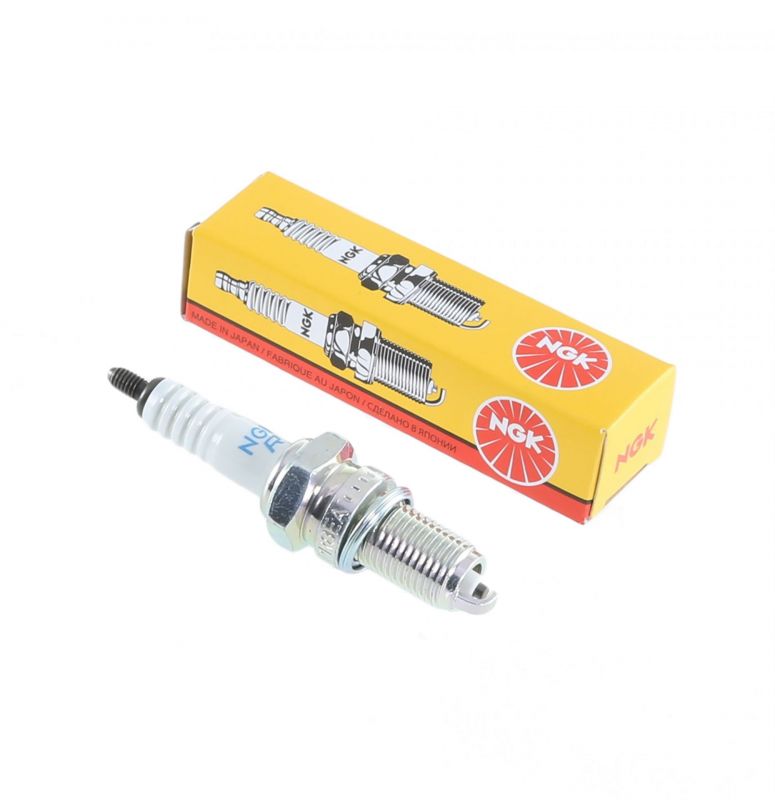 Bougie NGK DPR8EA9 Standard Pièces Electrique sur La Bécanerie
