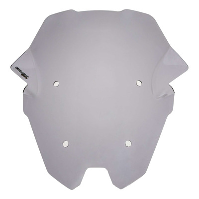 Bulle Ermax Sport 49 cm BMW R 1250 RS 19-25 gris
