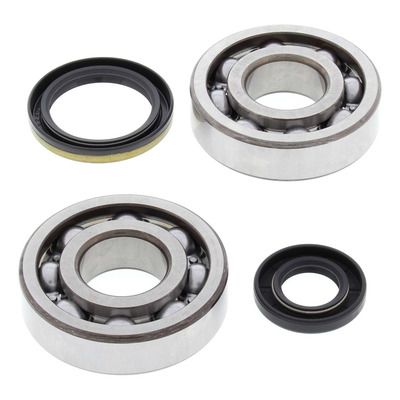Kit Roulements et Joints SPI de Vilebrequin ALL BALLS RACING - Suzuki 250 RM 94-95