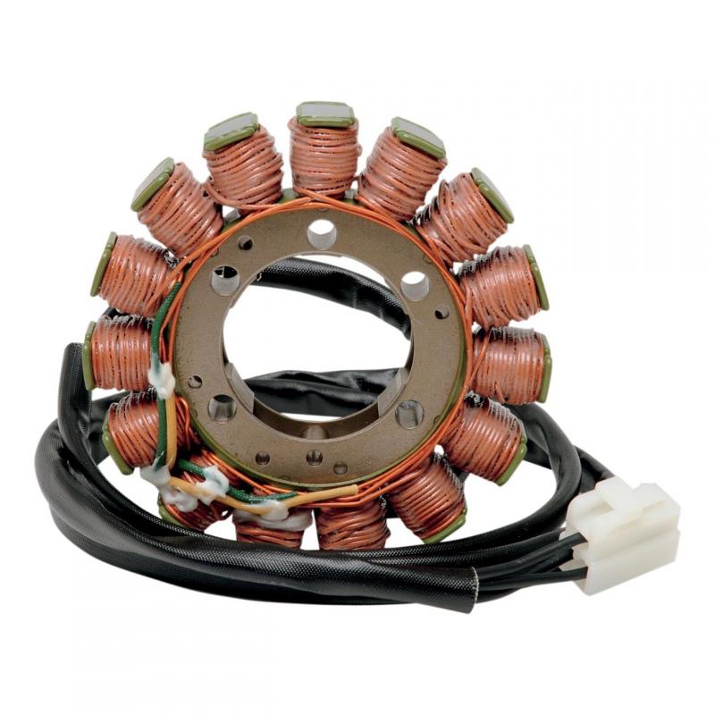 Stator Rick’s Motorsport Electric Ducati Monster 900 99-02