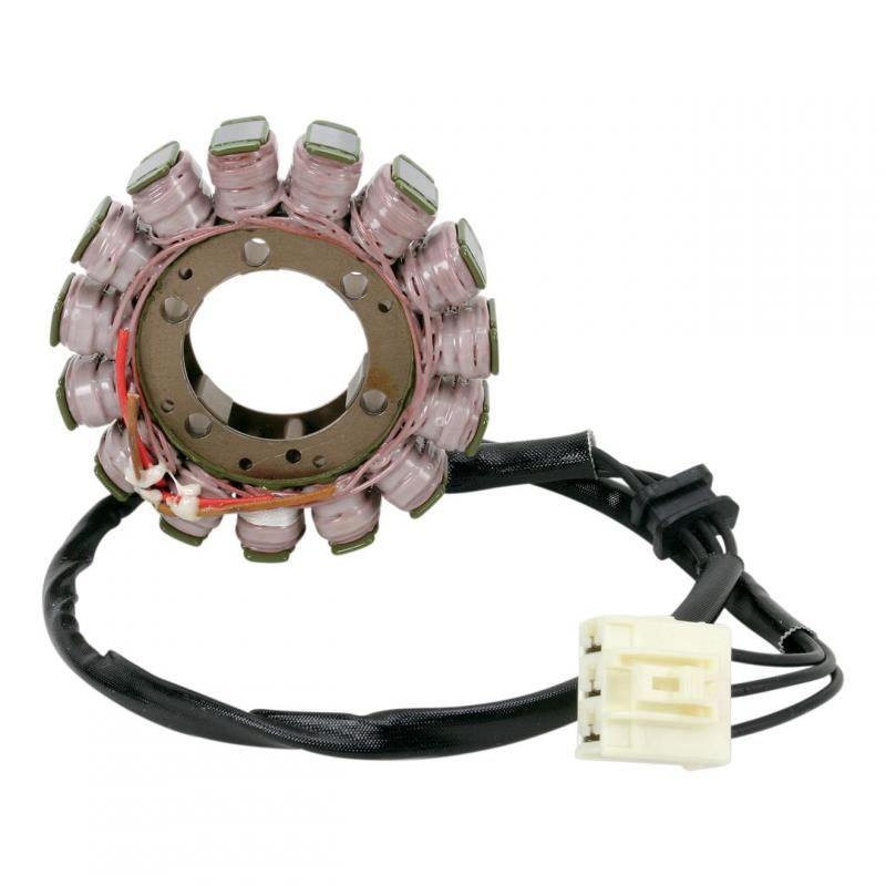 Stator Rick’s Motorsport Electric Kawasaki ZX-6R 07-08