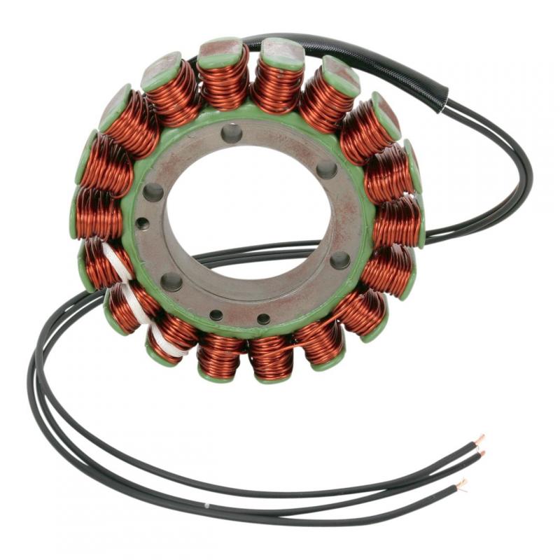 Stator Rick’s Motorsport Electric Suzuki DL 1000 V-Strom 2002