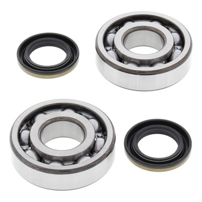Kit Roulements et Joints SPI de Vilebrequin ALL BALLS RACING - Kawasaki 200 KDX 91-02