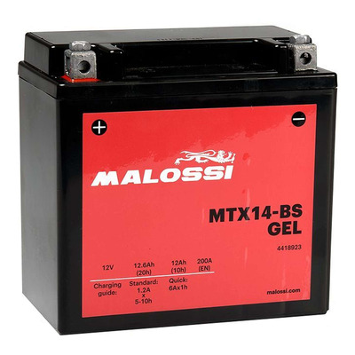 Batterie gel Malossi MTX14-BS