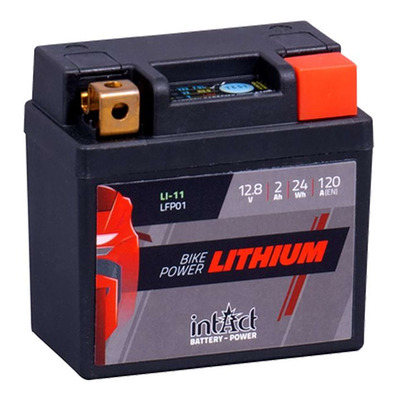 Batterie lithium IntAct LFP1