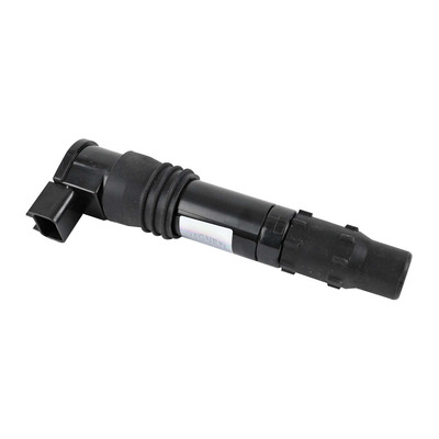Bobine d'allumage Magneti Marelli Suzuki Burgman 650 2002-13