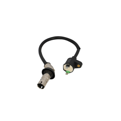 Bobine d'allumage Peugeot OEM 776910 Kisbee / Django 4t 2010-17