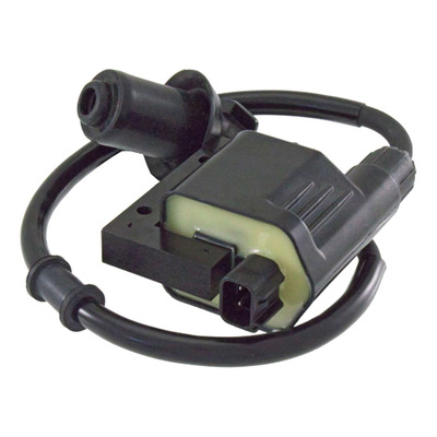 Bobine d'allumage RMS Factory Quality Agility R16/Like 200