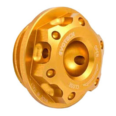 Bouchon de carter d’huile Evotech ØM26 x 3 mm or