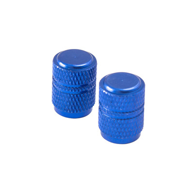 Bouchons de valve forme ronde bleus