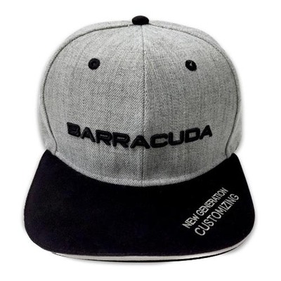 Casquette Barracuda grise/noire