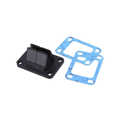 Clapet 8 lamelles type V-Force Moteur Am6 - Euro 2/3/4