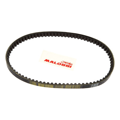 Courroie Malossi Kevlar Belt Pack Over Range Evolis Zest Fizz