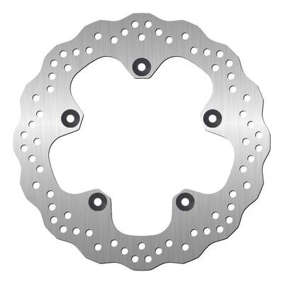 Disque de frein arrière fixe NG Brakes pétale BMW R 1250 GS 19-23