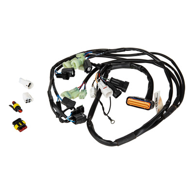 Faisceau RapidBike Evo / Racing F27-ER-086