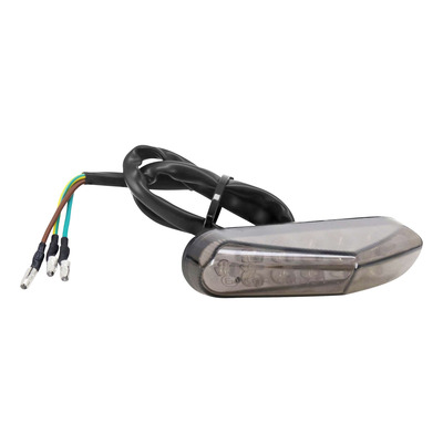 Feu arrière fumé 12 LEDs pour support de plaque