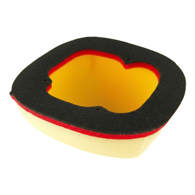 Filtre à air double mousse DT-1 BETA 250 RX 26