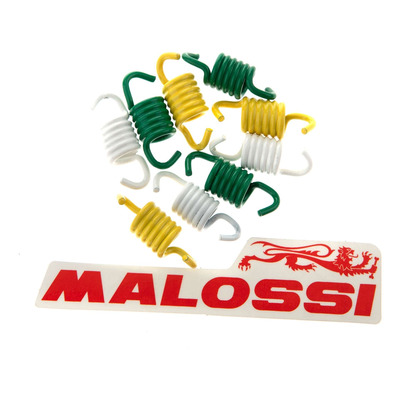 Jeu de 9 ressorts d'embrayage renforcé Malossi pour embrayage Delta et fly clutch