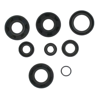 Kit 8 joints spi nitrile pour moteur AM6