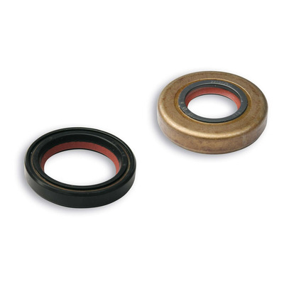 Kit de joints spi de vilebrequin Malossi AM6
