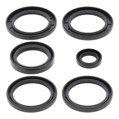 Kit Joints de Différentiel Arrière ALL BALLS RACING - Kawasaki 650 KVF Brute Force 05-13