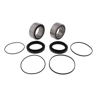 Kit Réparation Roulements de Roue Arrière ALL BALLS RACING - Yamaha 700 YFM R Raptor 13-25