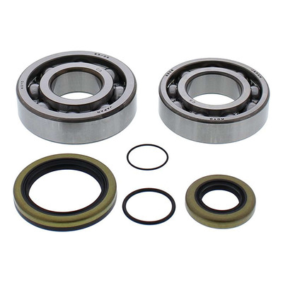 Kit Roulements et Joints SPI de Vilebrequin ALL BALLS RACING - Gasgas 250 EC 08-19