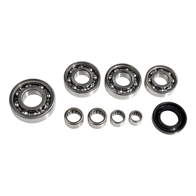 Kit roulements SKF de boite de vitesse AM6