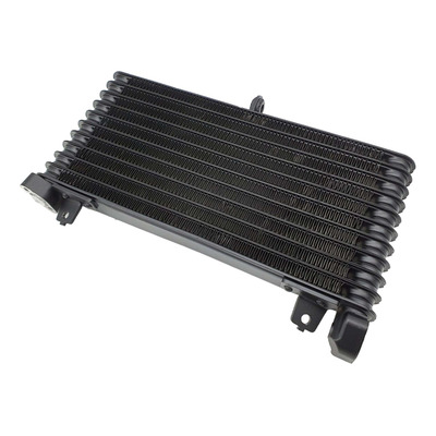 Radiateur d'huile Brazoline Suzuki GSX-R 1300 Hayabusa 08-16