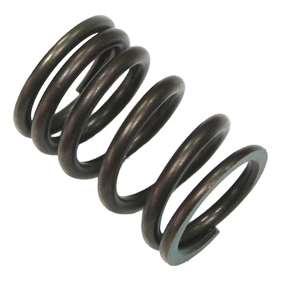 Ressort de Soupape d’Admission PSYCHIC Type Origine - Honda 250 CRF-R 18-23