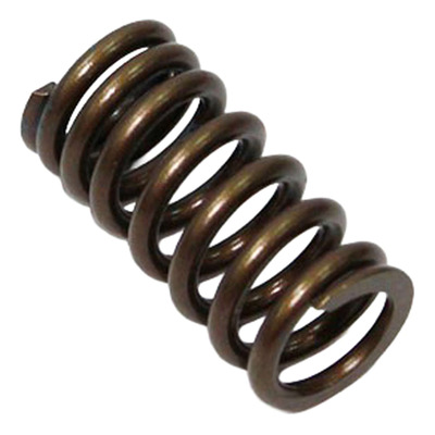 Ressort de Soupape d’Échappement PSYCHIC Type Origine - Honda 250 CRF-R 08-09