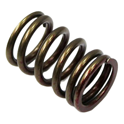 Ressort de Soupape d’Échappement PSYCHIC Type Origine - Suzuki 450 RMZ 08-22