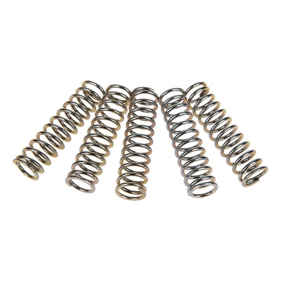 Ressorts d’embrayage TRW Kawasaki ZX-9R 900 Ninja 98-03