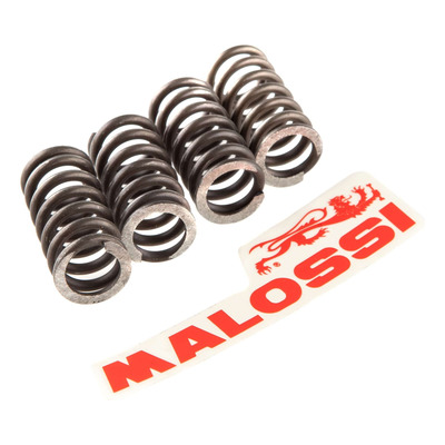 Ressorts embrayage Malossi AM6