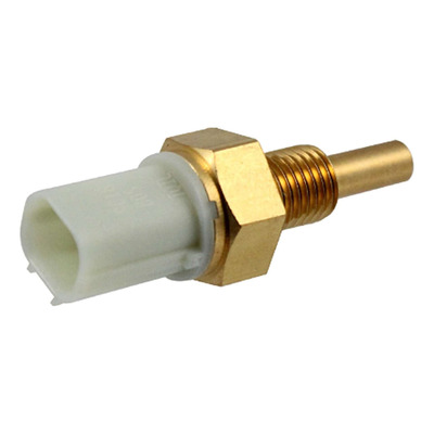 Sonde de température RMS X-Max/MT 125/Tracer