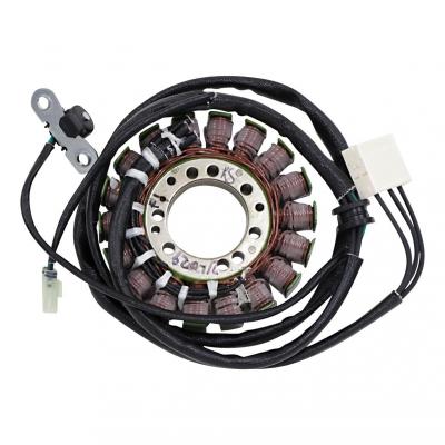 Stator Rick’s Motorsport Electric Triumph Daytona 675 13-16